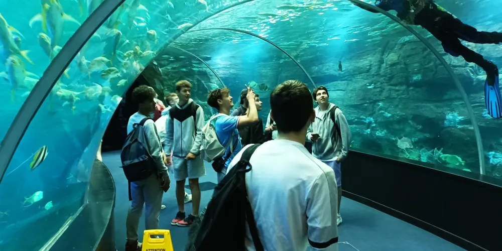 Sortie à Nausicaa