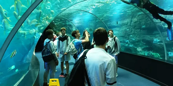 visuel Sortie &agrave; Nausicaa