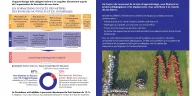 Taxe d'apprentissage : lancement de la campagne