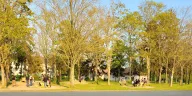 Mercredi soir, les élèves internes ont profité d'un barbecue sous le soleil dans le parc 